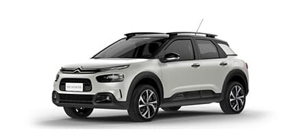 C4 CACTUS