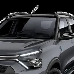 C4 Cactus PRETO PERLA NERA