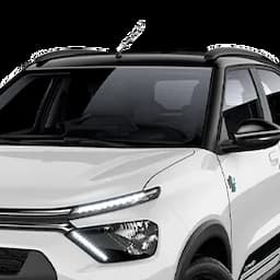 C4 Cactus PRETO PERLA NERA